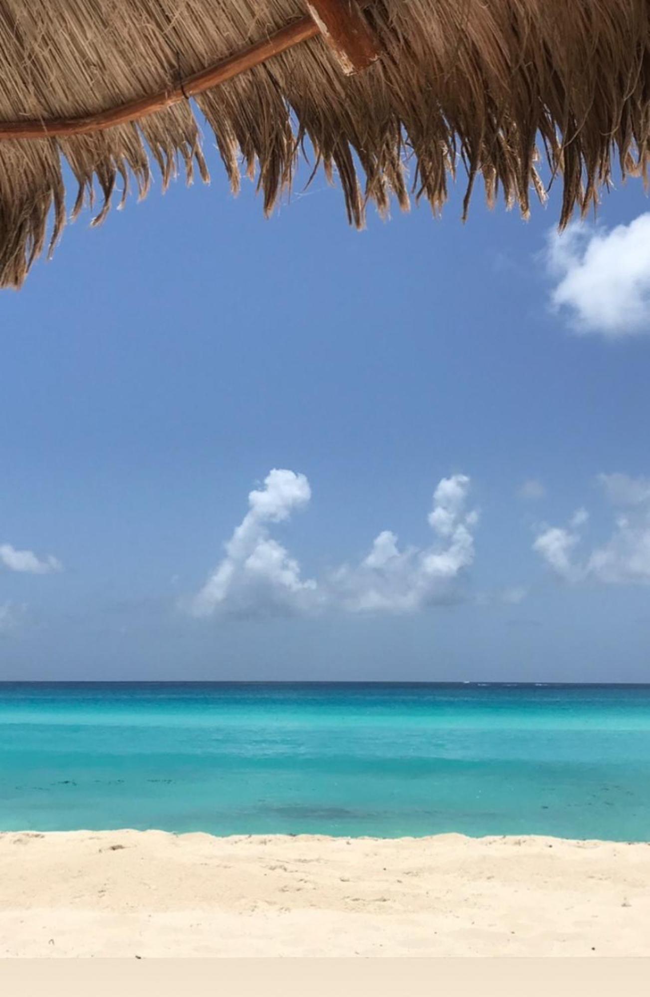 Apartamento Brisas Ocean View And Private Garden Zona Hotelera 07 Cancún