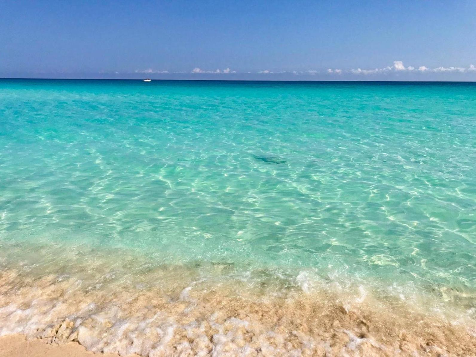 Seashore * Cancún