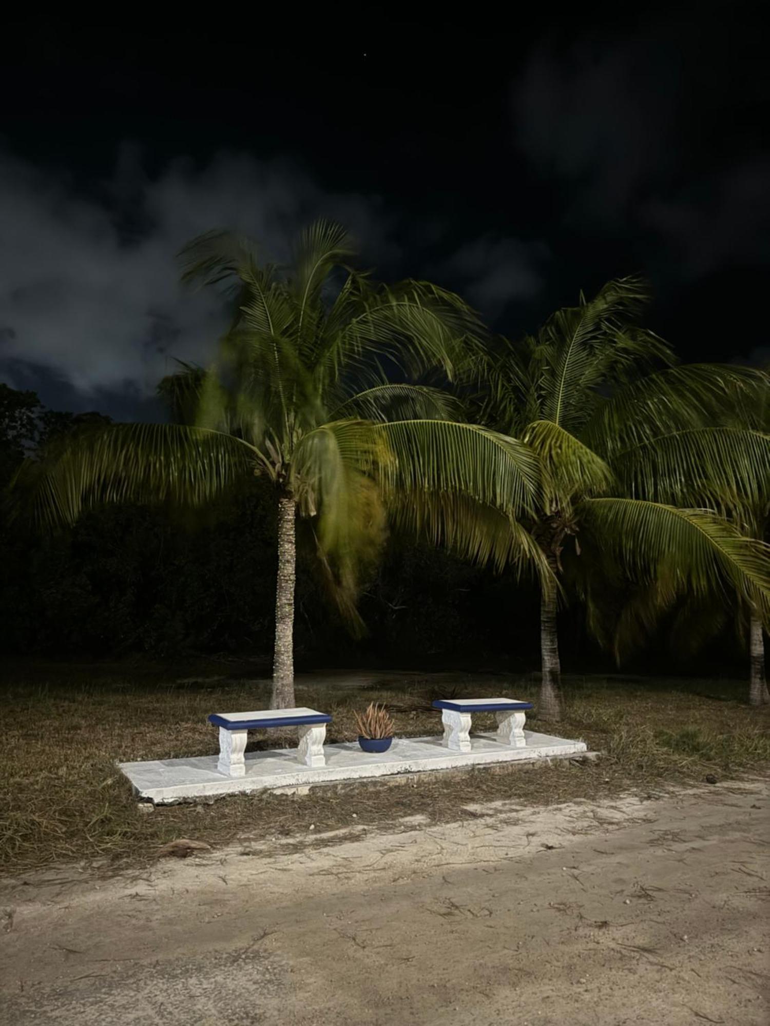 Homestay Caribbean Queen