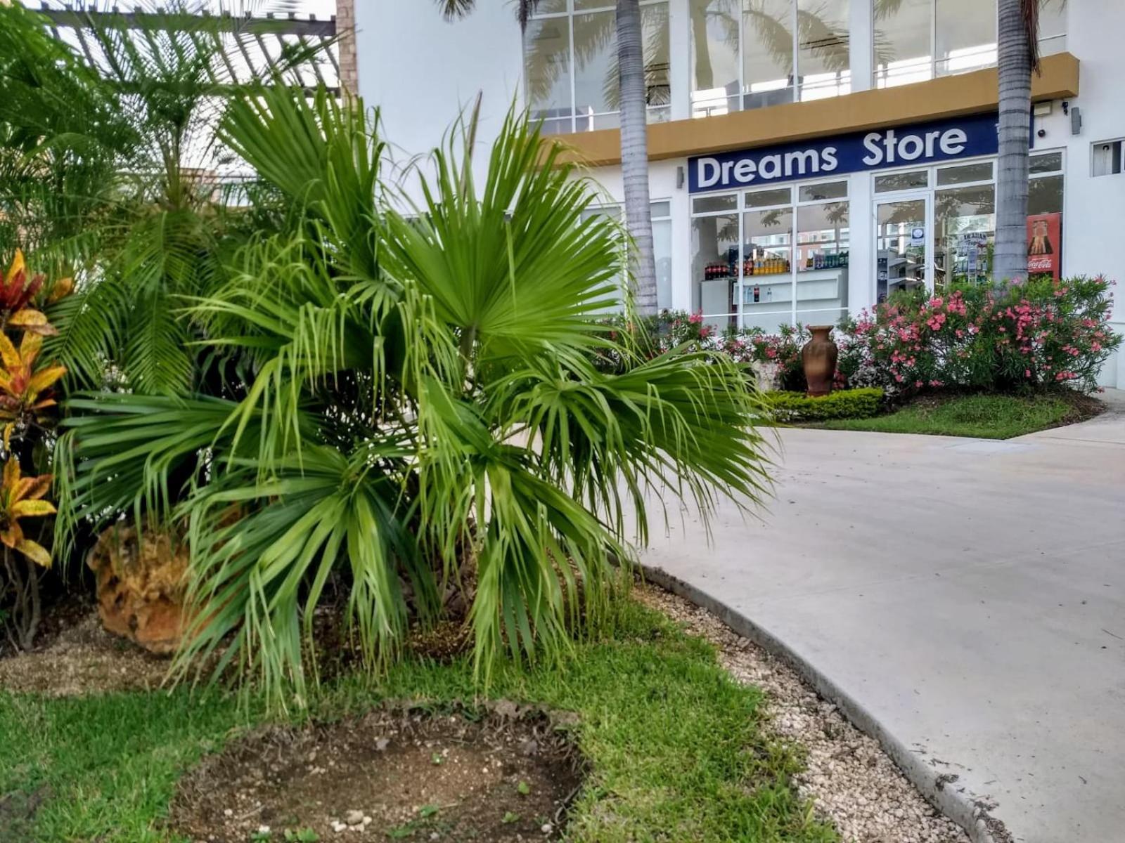 Dream Vacation Cancun