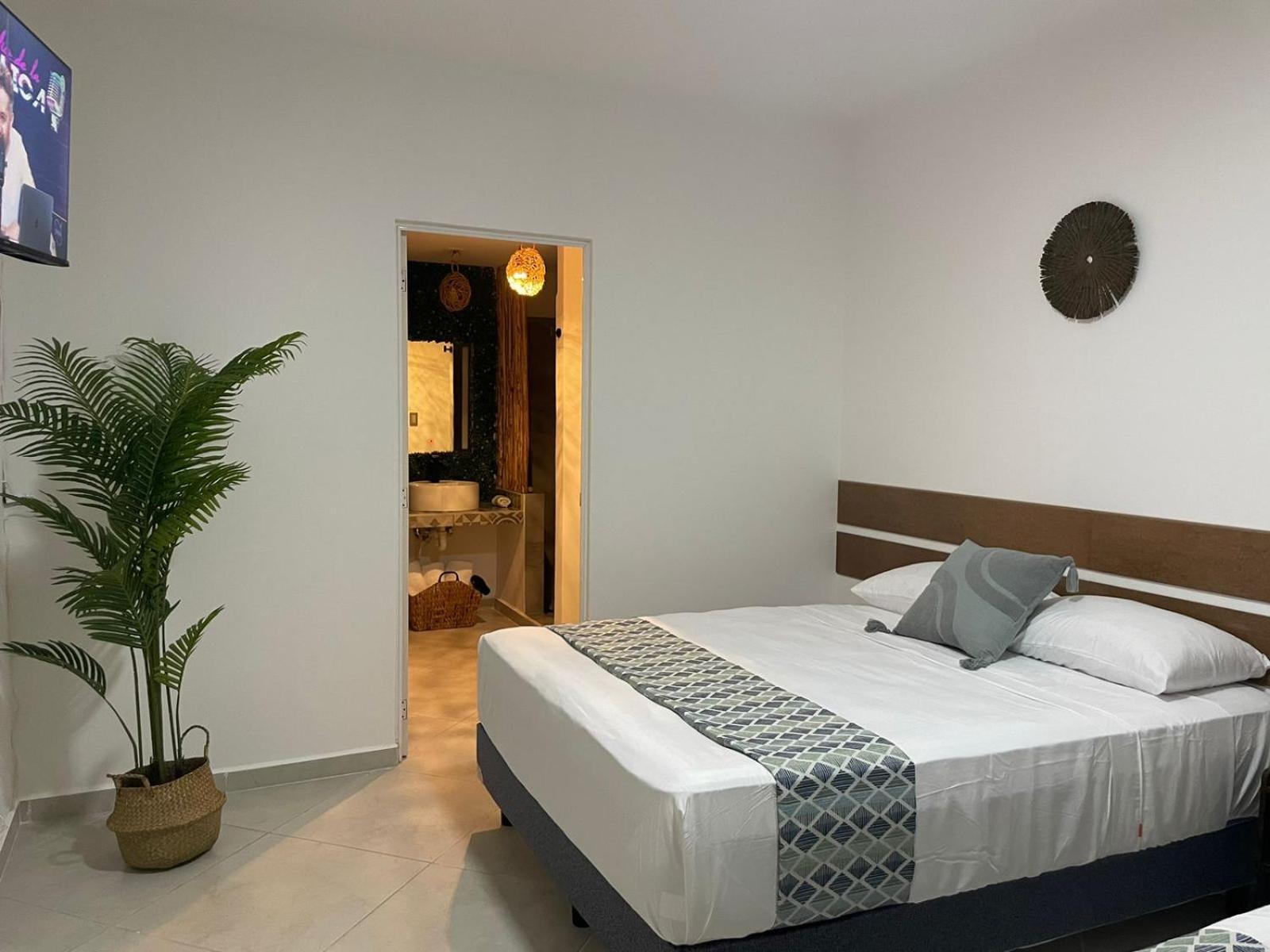 Apartamento Departamento Desatadora *