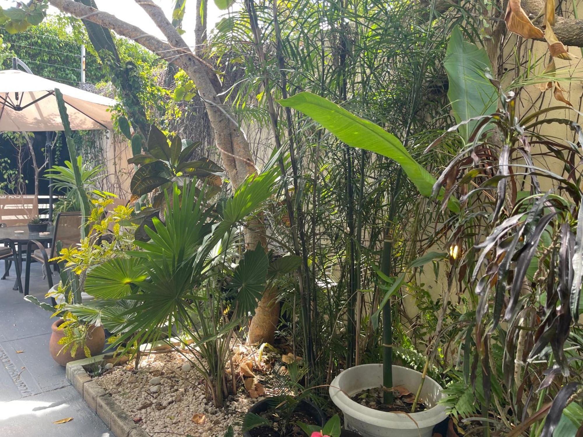 Apartamento Casa Con Piscina En A Mitad De Precio! Cancún