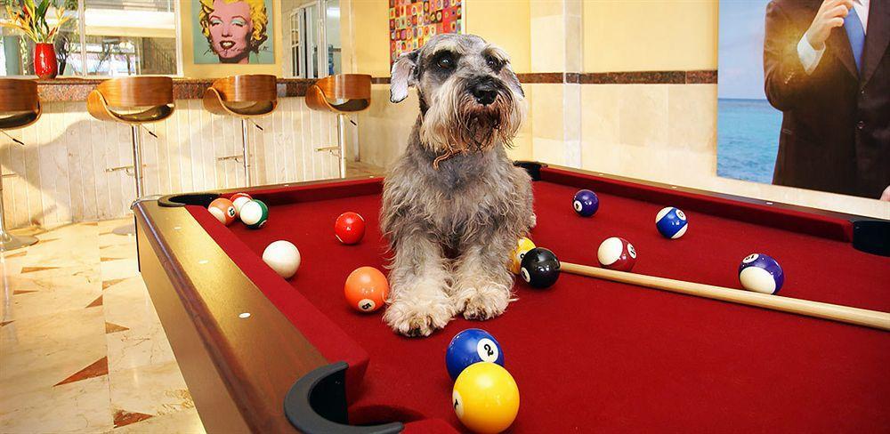 Hotel Dogtown