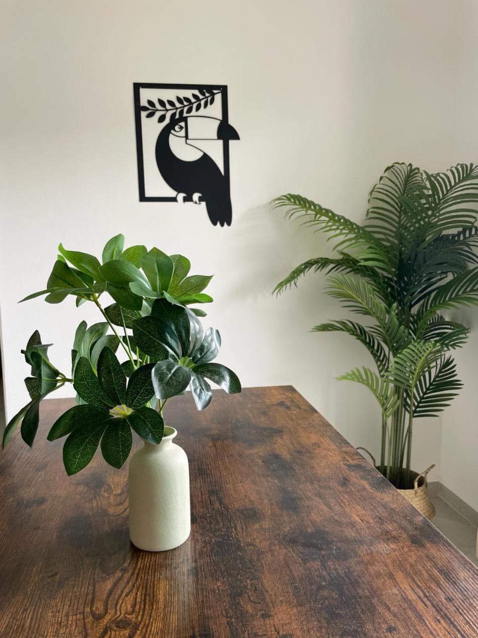 Apartamento Departamento Desatadora