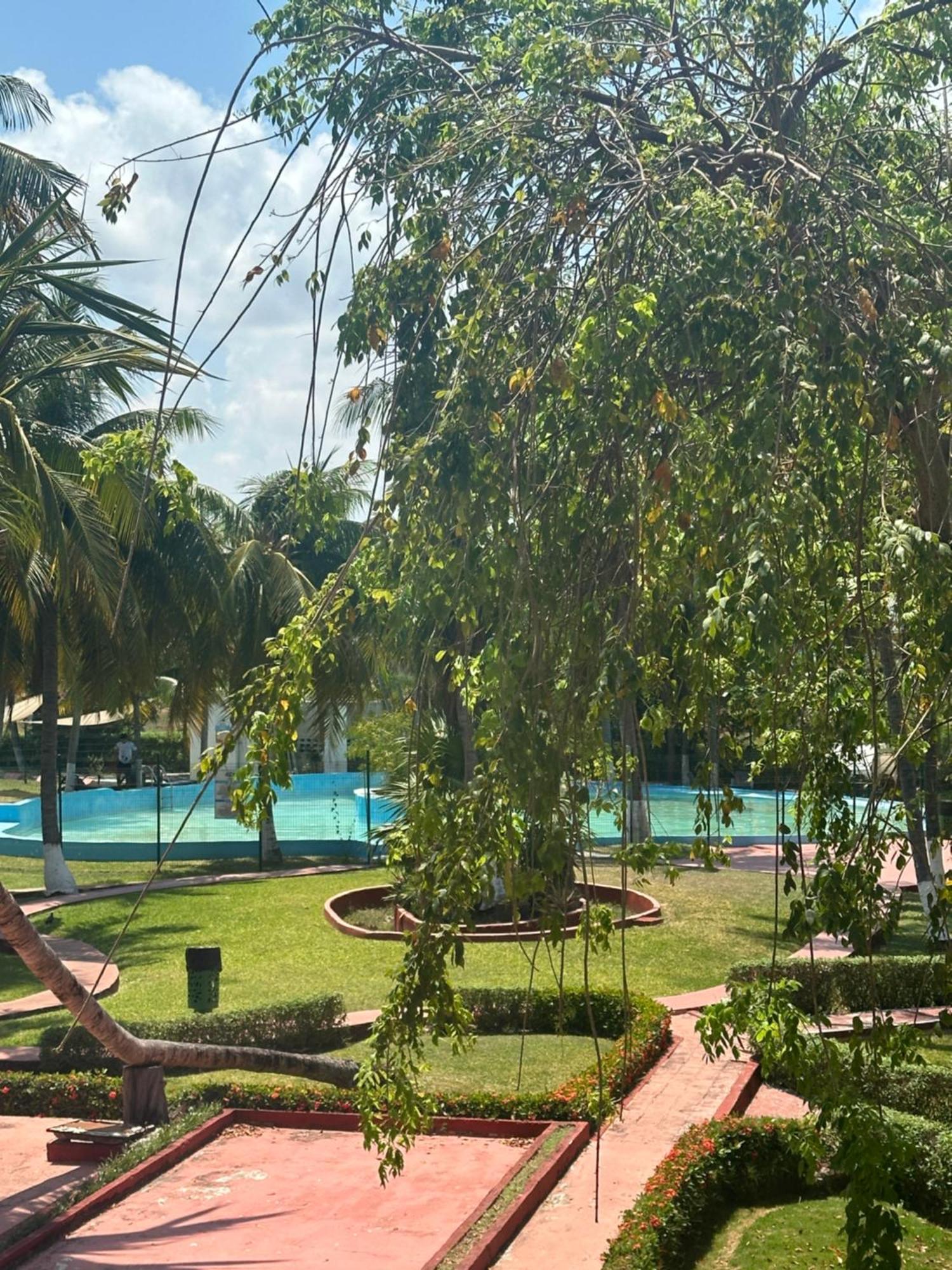 Poktapok