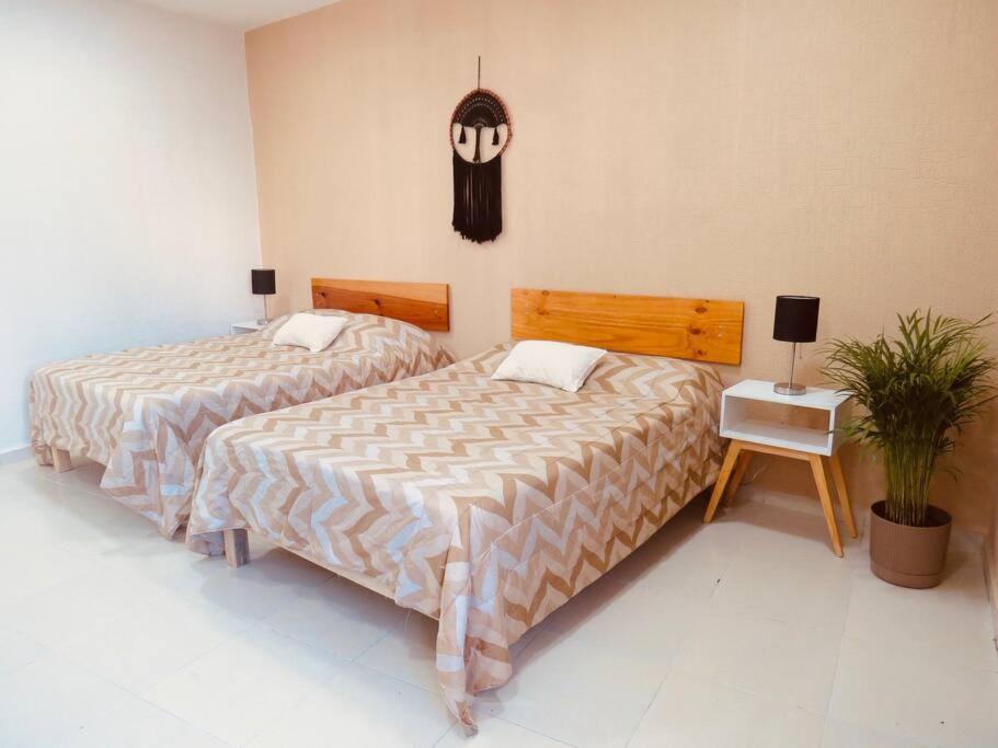 Apartamento 2 Centrico Y Amplio Departamento 2 A 6 Personas