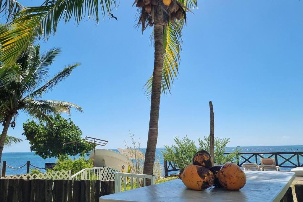 On The Seaside Sunrise Haven 7 Bedroom Villa *
