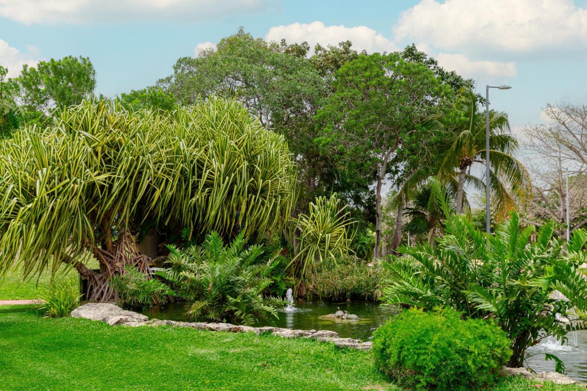Apartamento Large 4br Family House With Pool