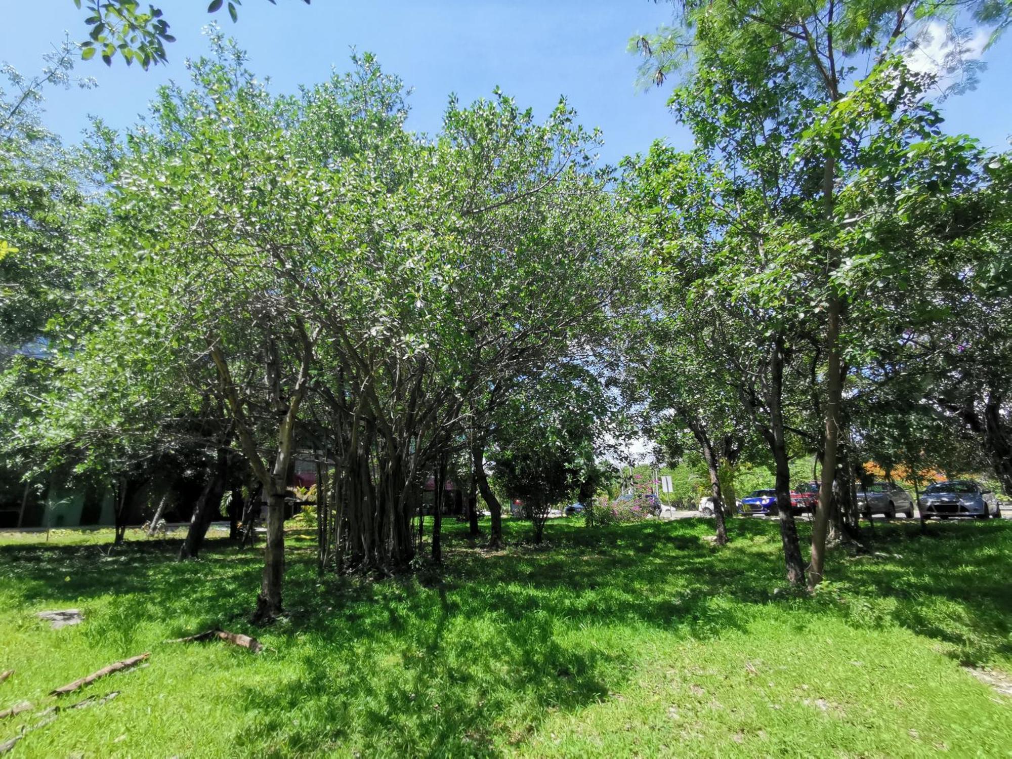 Beautiful & Cozy Near Pool & Kingsize Bed * Cancún