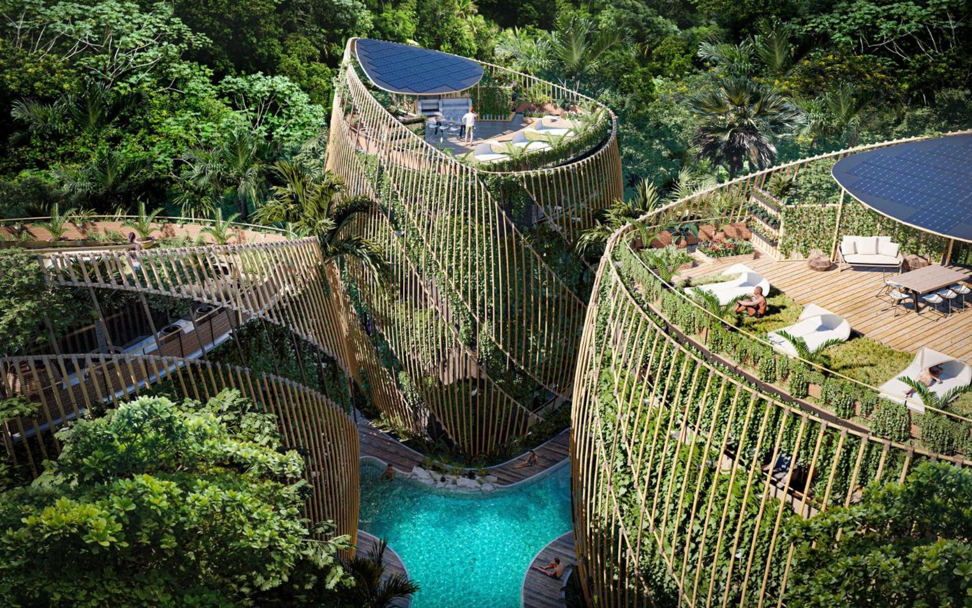 Living In The Noom By Andiani Cancún