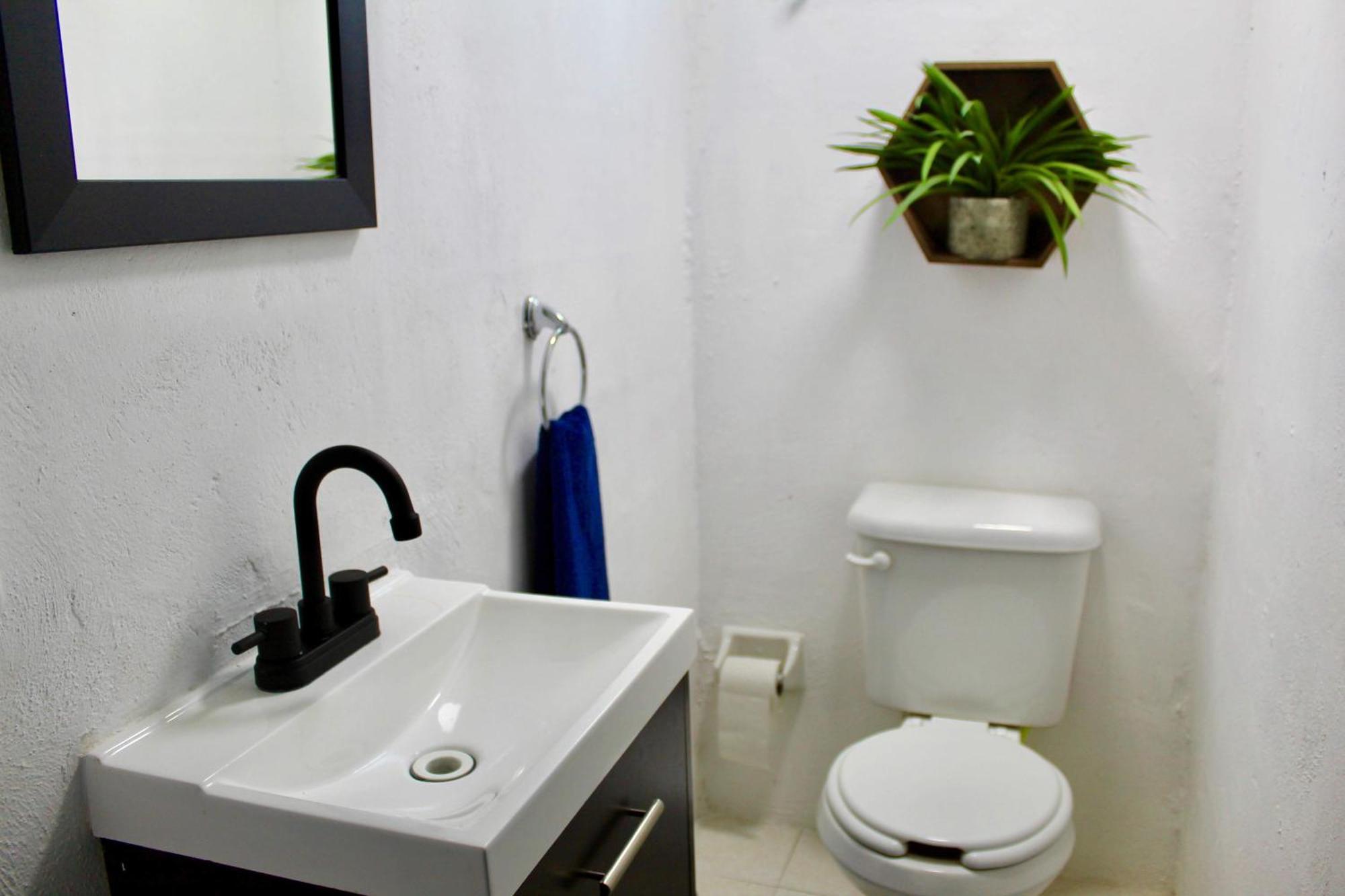 Pop Urban Apartamento
