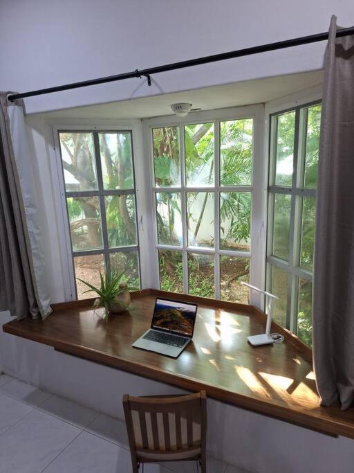 Estudio En El Corazon De *