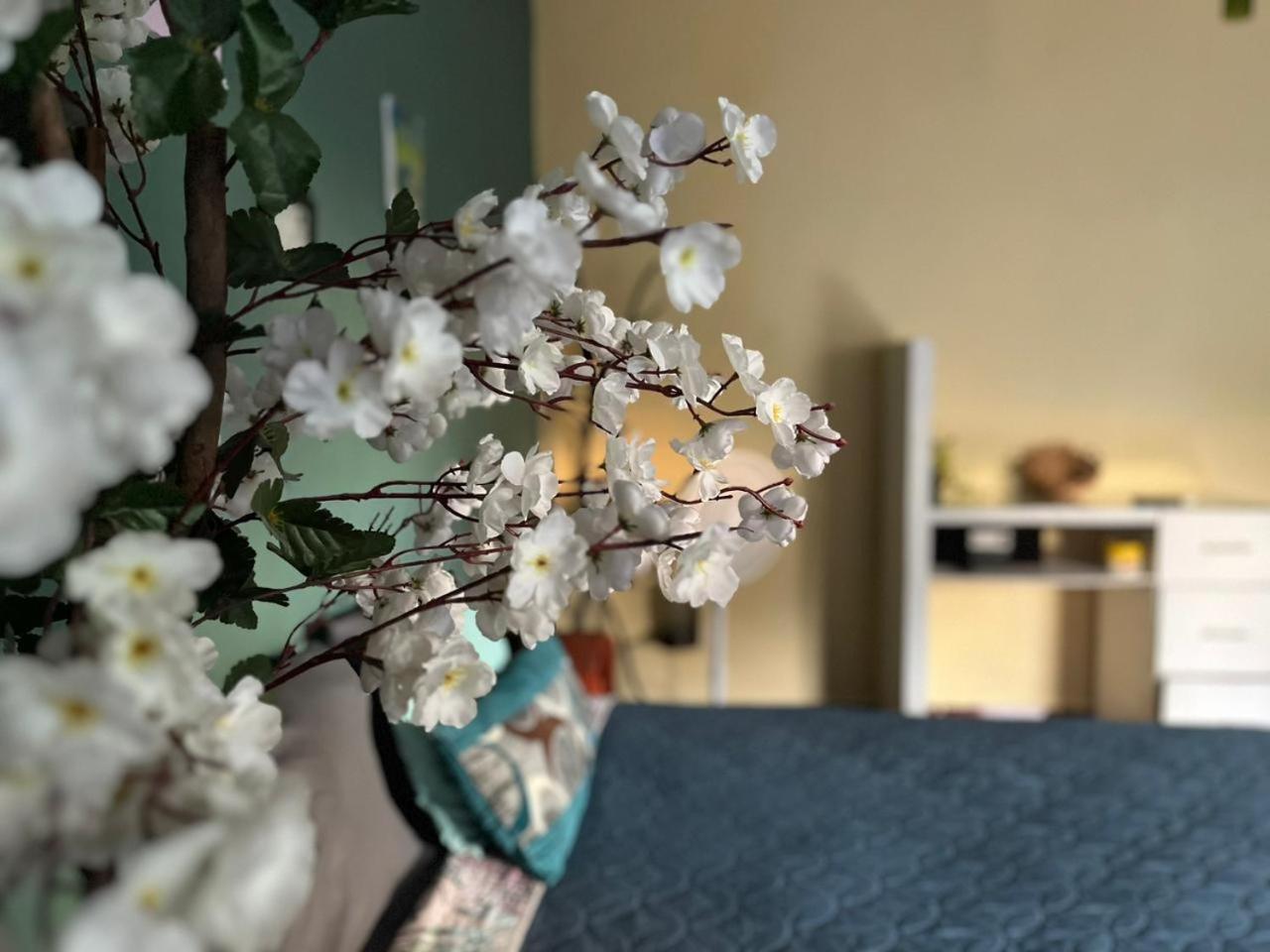 Apartamento Bambu Mayan