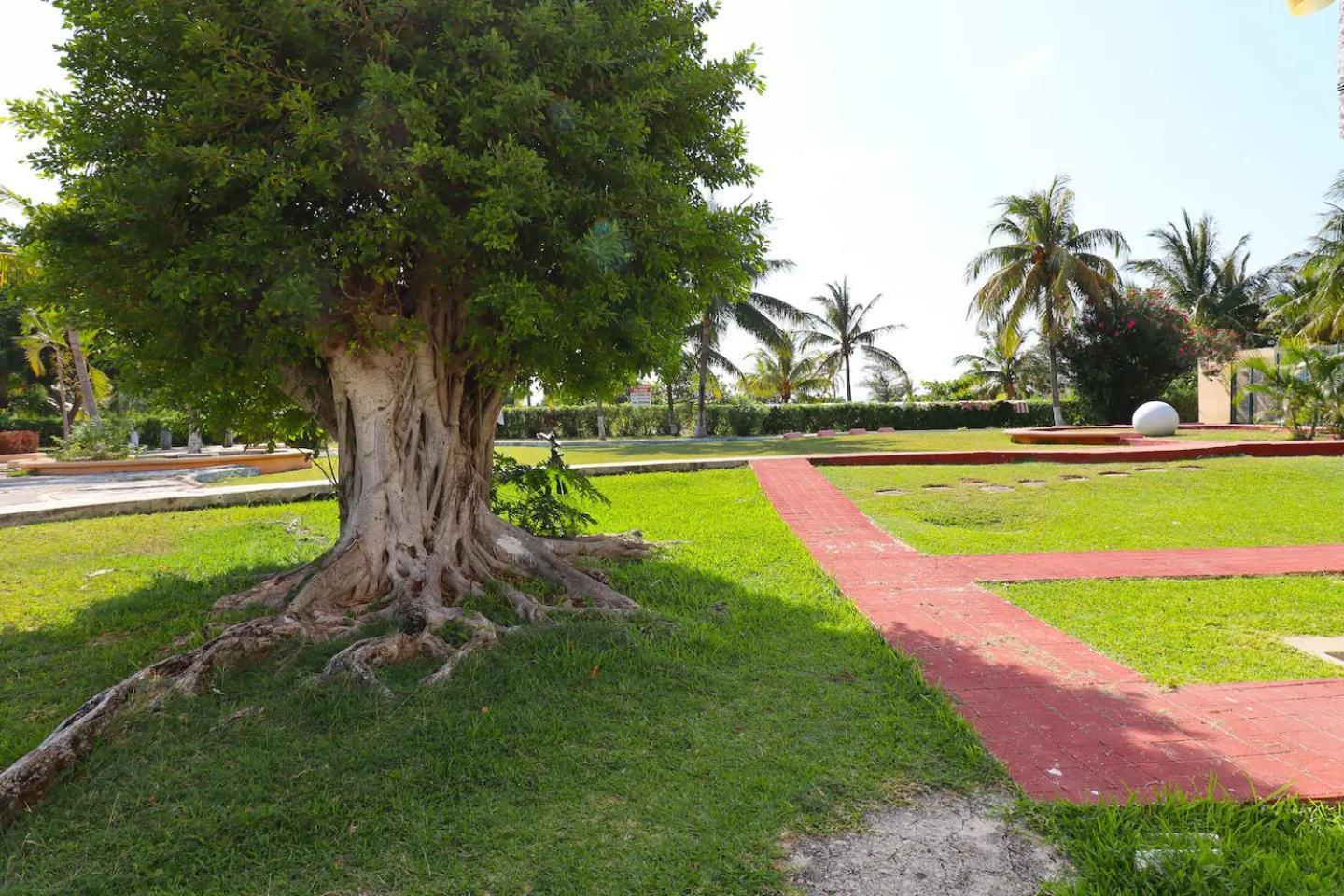 Lindo Estudio A Un Lado Del Campo De Golf, #b - Gre301b - *