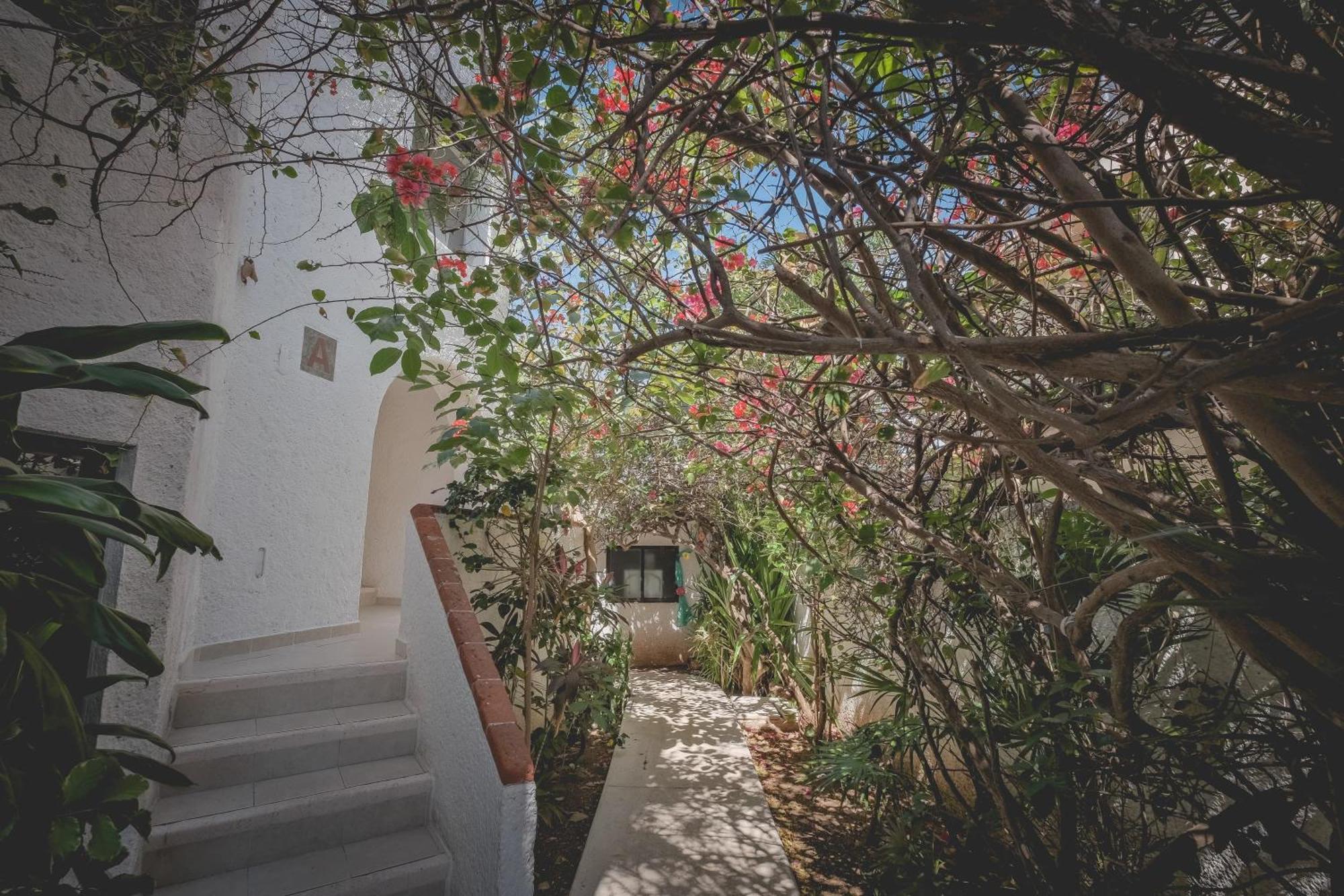 Sotavento & Yacht Club Hotel 3*