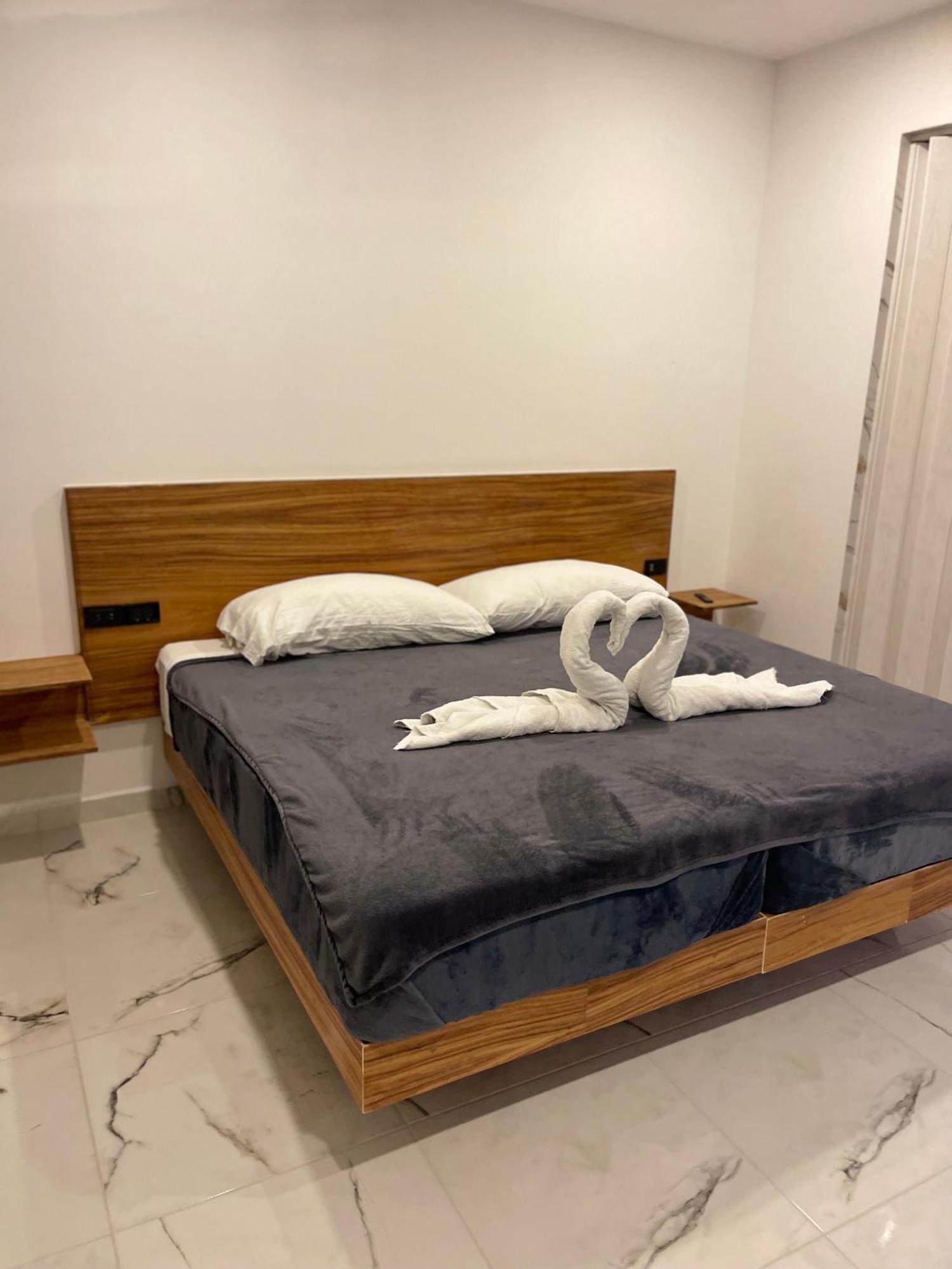 Alce33 Cancún