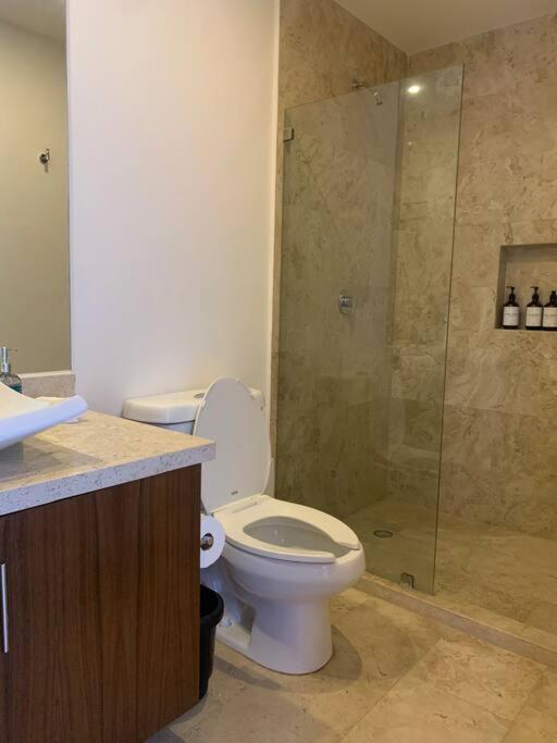 Apartamento Penthouse Con Jacuzzi Privado *
