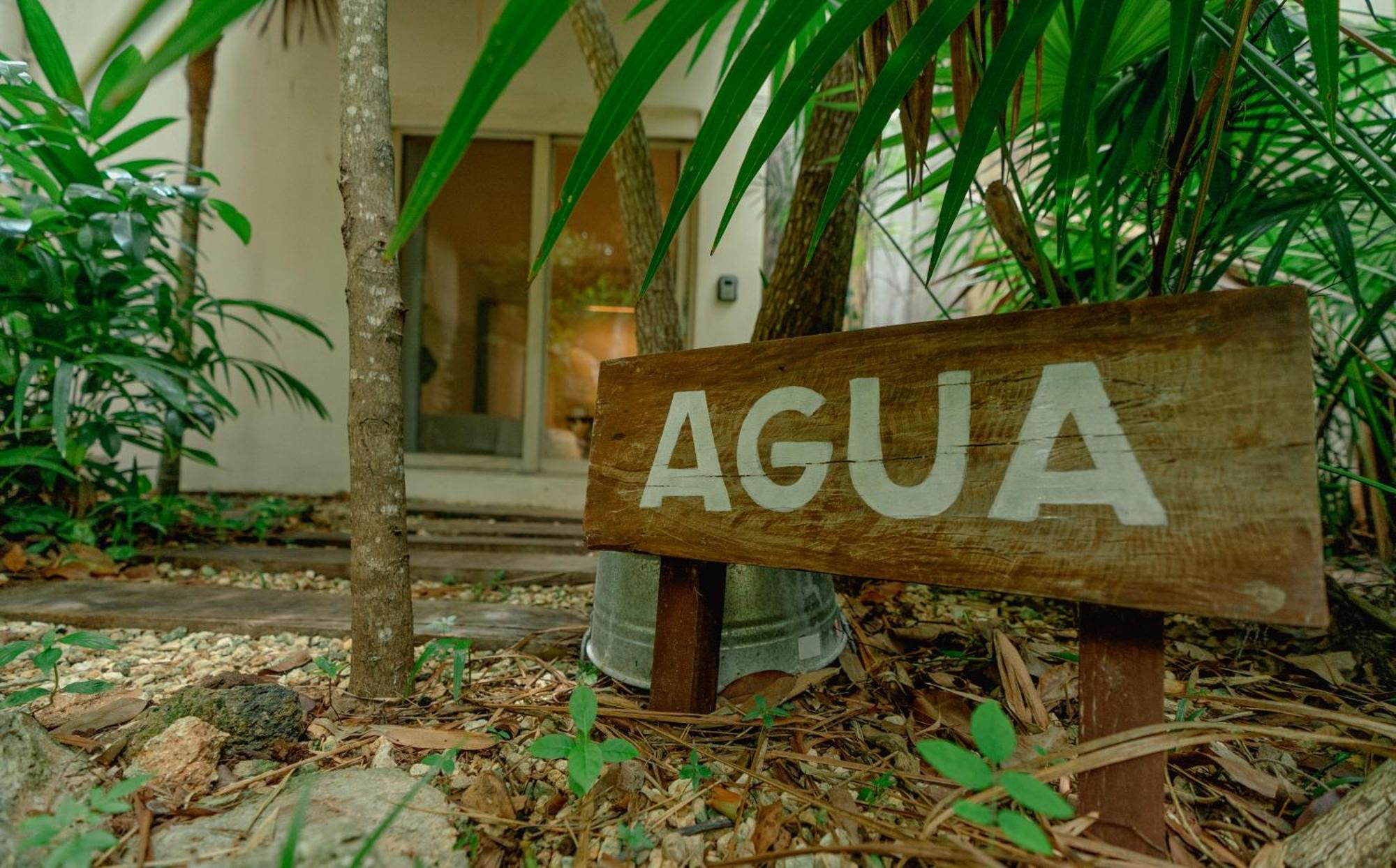 Oma - Holistic Healing Center * Cancun