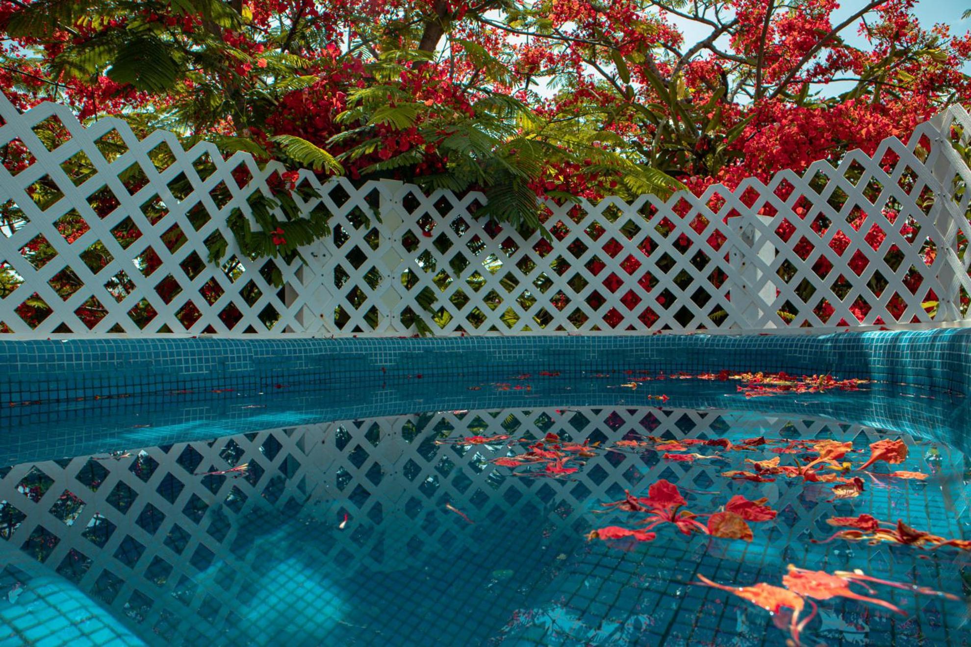 Pensión Casa Wayak Cancún