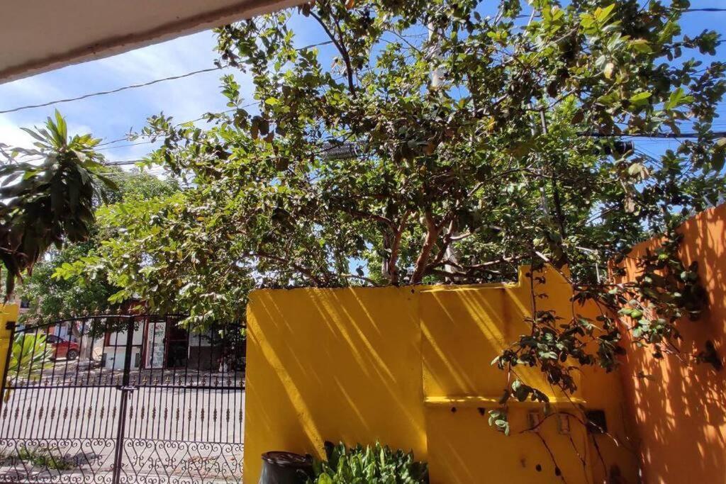 Apartment Departamento Rosi Cerca De Juzgado Familiar