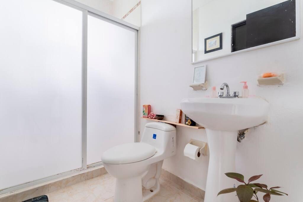 Apartamento Sol, Arena Y Mar Cerca Victoria's Space & Piscina Cancún