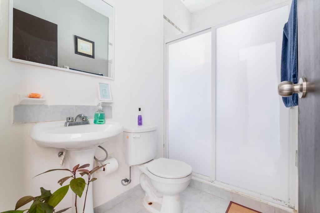Apartamento Sol, Arena Y Mar Cerca Victoria's Space & Piscina *