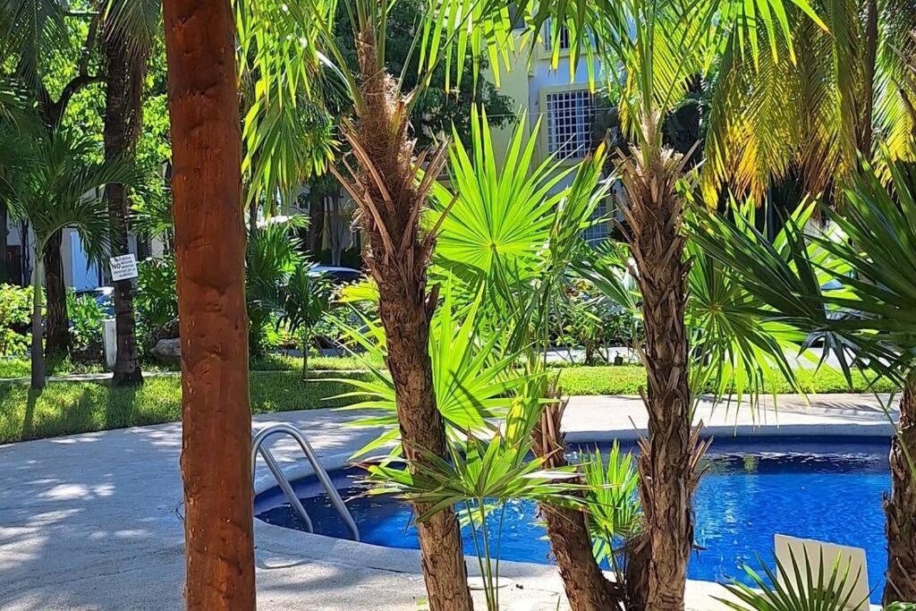 Apartamento Sol, Arena Y Mar Cerca Victoria's Space & Piscina