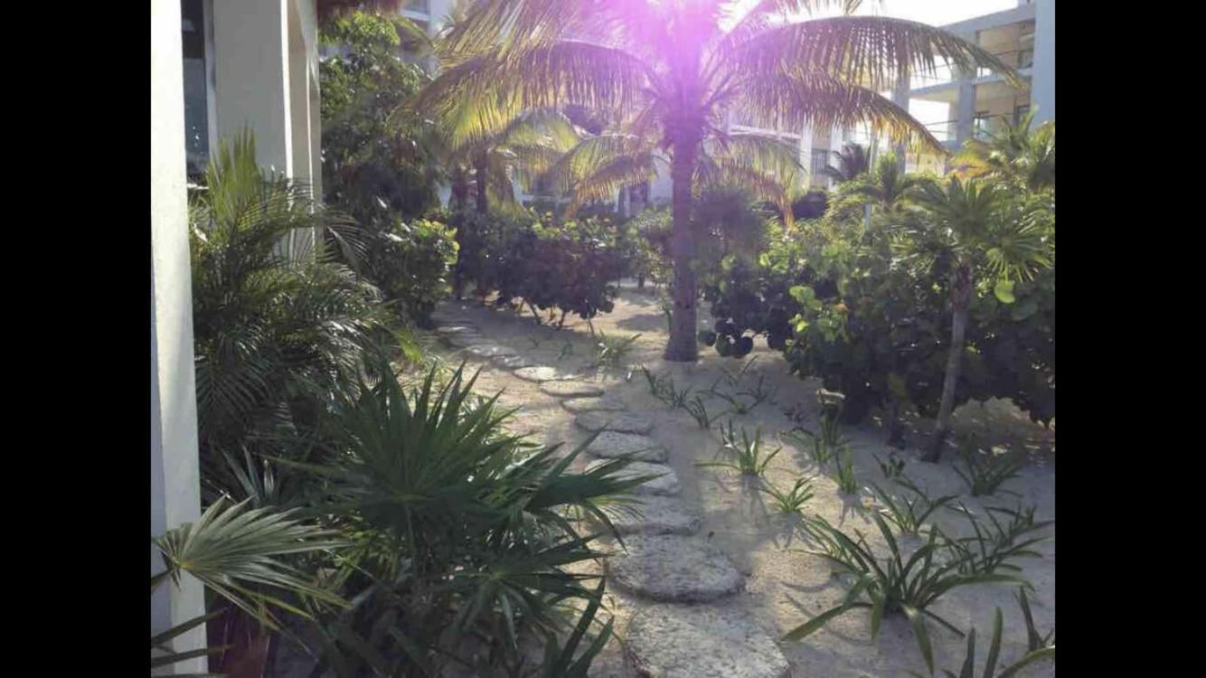 Depa En Playa Baja Densidad Solo Rentas Largo Plazo 90d O Mas * Cancún