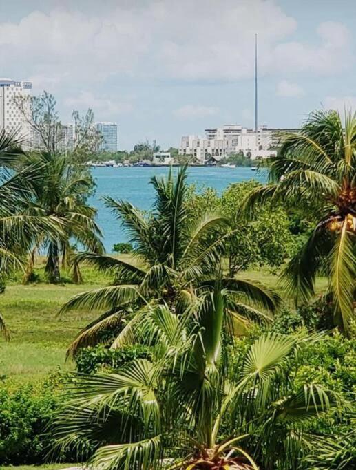 La Dorada 5 Cancún