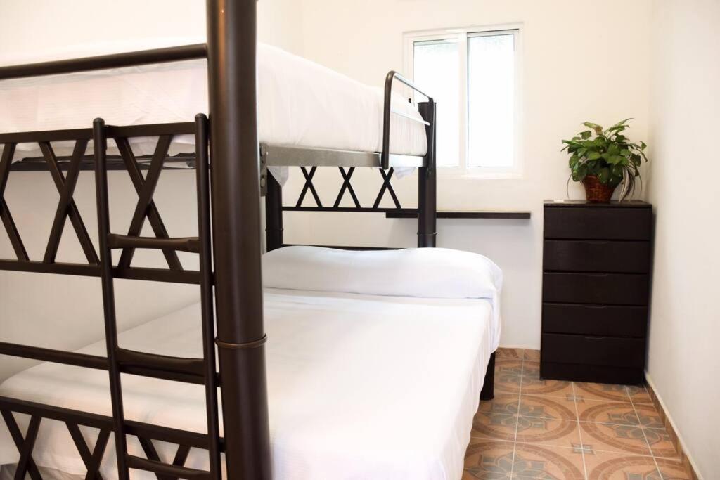 Cozy With Private Pool, Garden & Palapa Villa Cancun