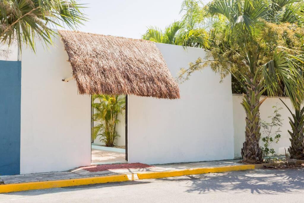 M&z Loft Palmas Cancún