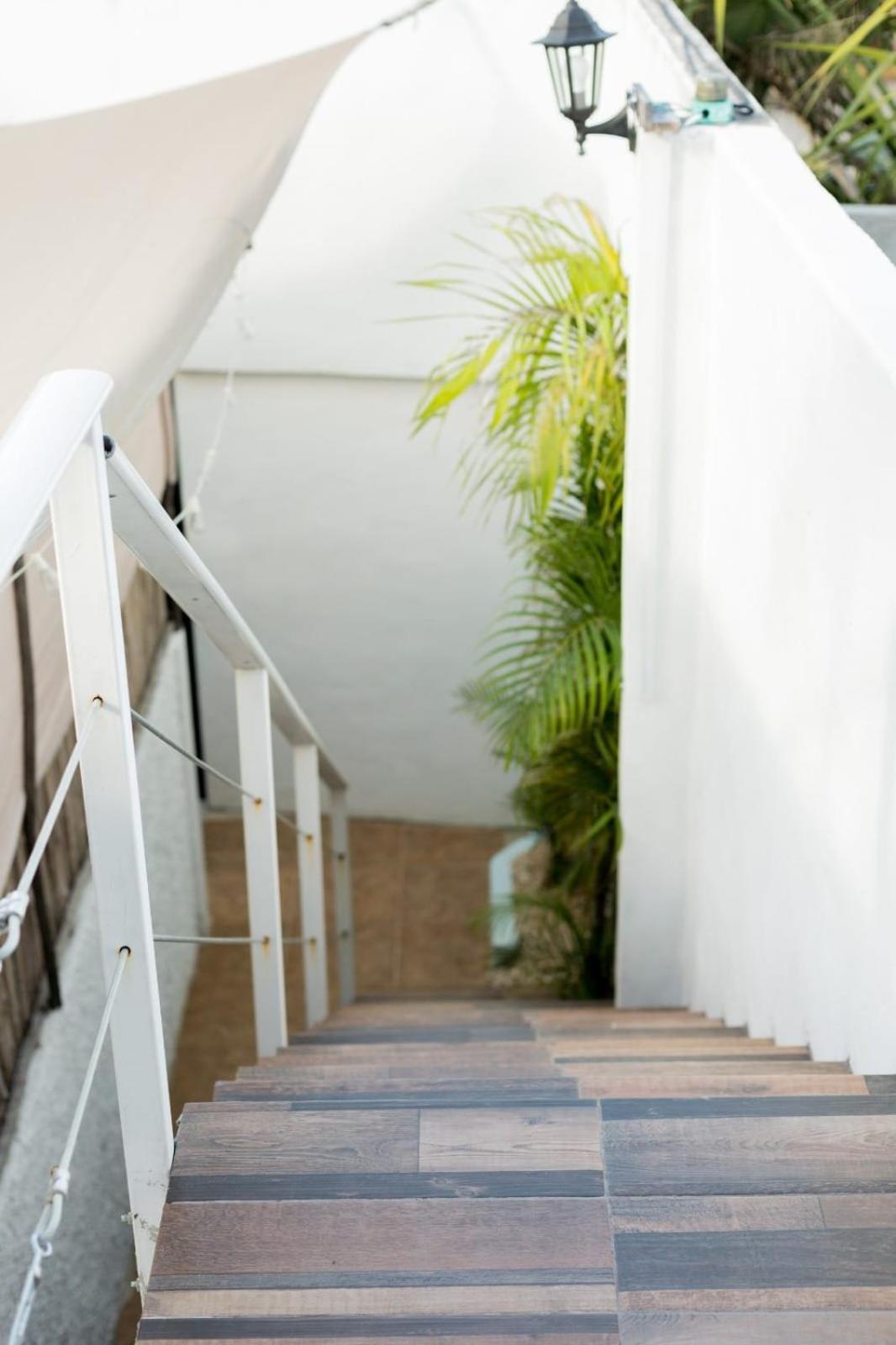 M&z Loft La Terraza