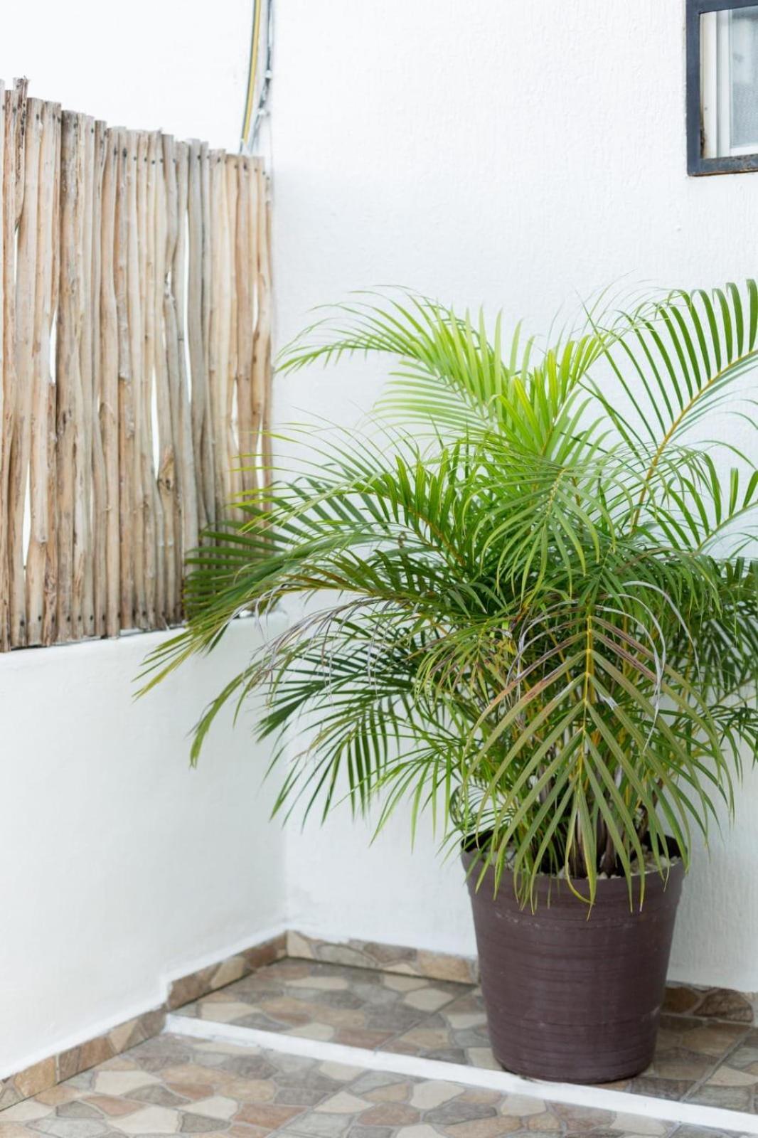 M&z Loft La Terraza * Cancún