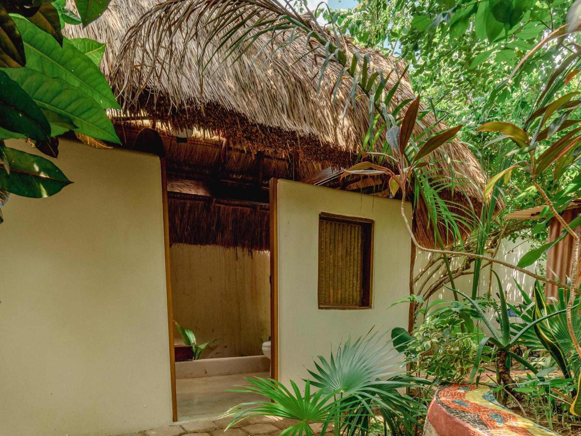 Oma - Holistic Healing Center Cancun