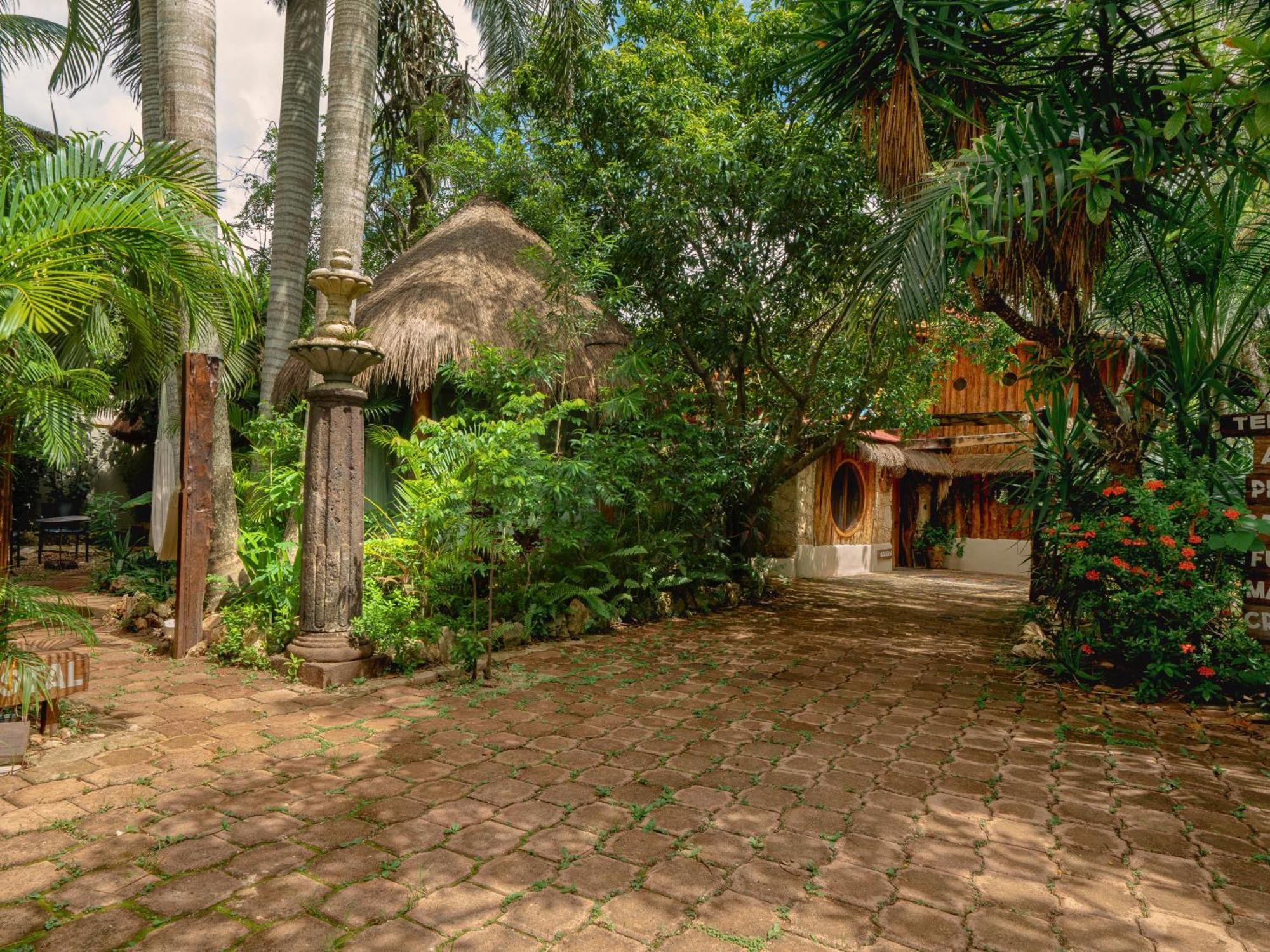 Oma - Holistic Healing Center * Cancun