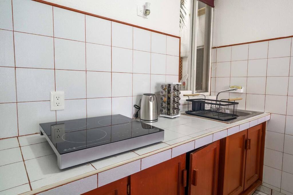 Mantarraya - 2 Br