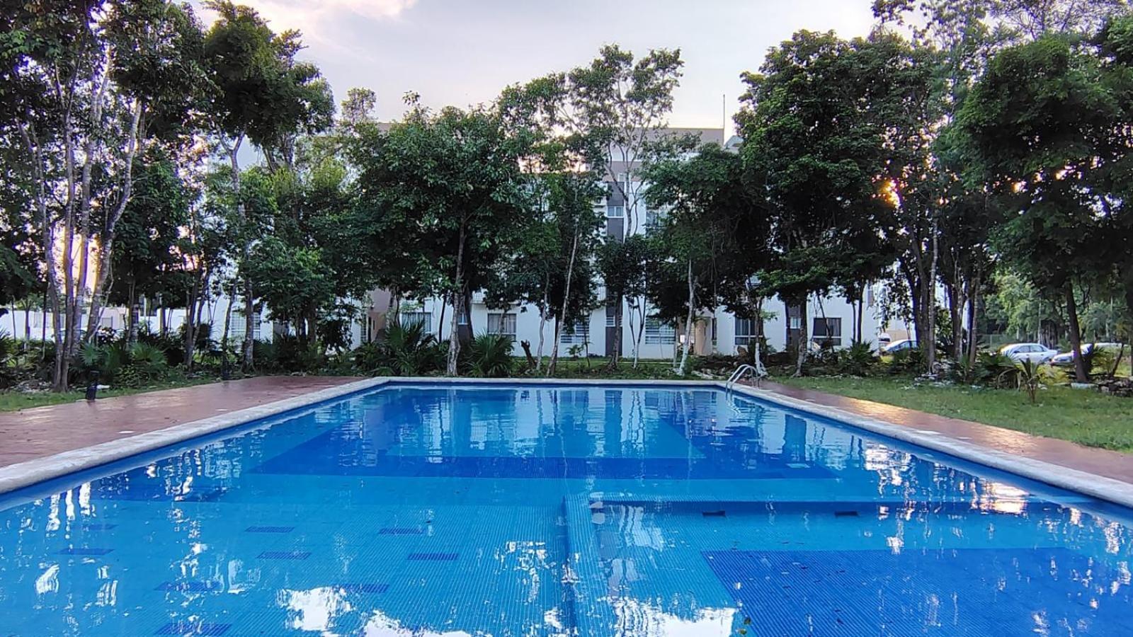 Vacaciones En Familia 3 *