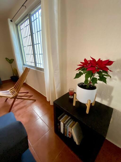 Apartamento Peach35 Centrico, 5 Min De La Playa *