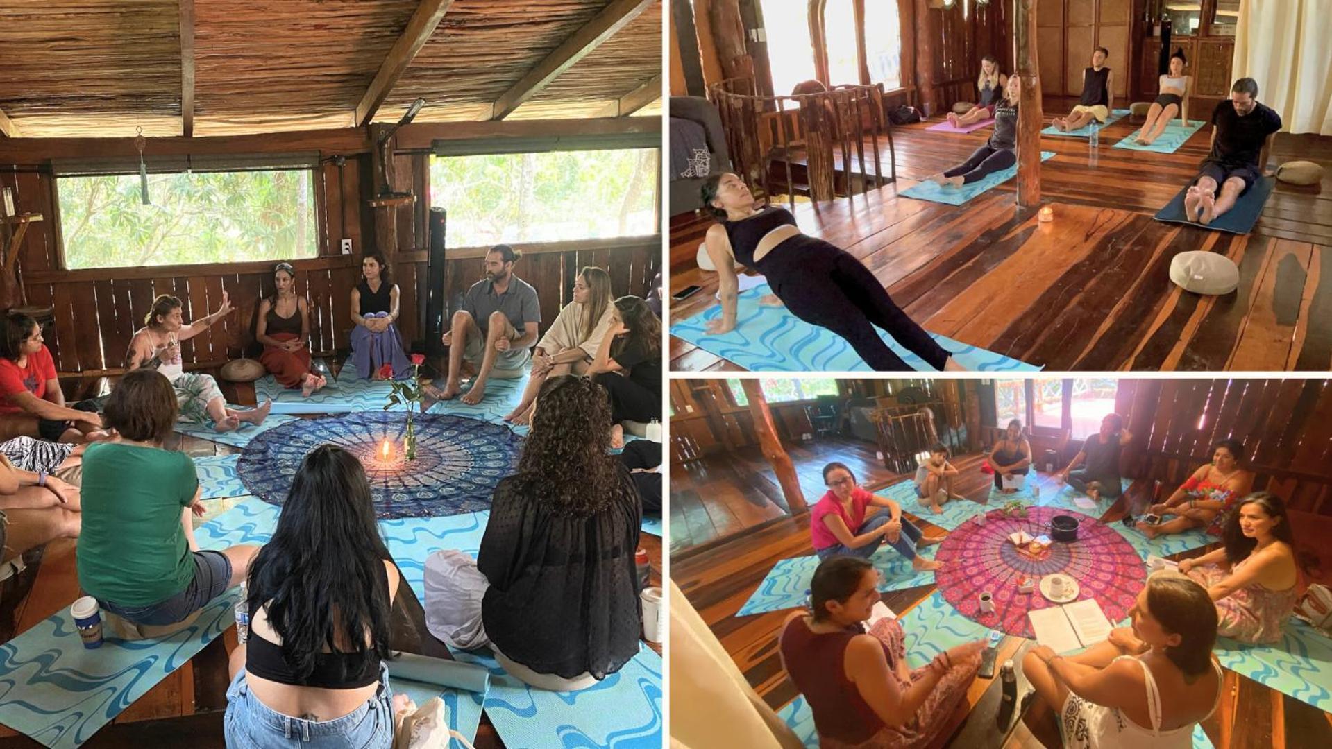 Oma - Holistic Healing Center Apartment