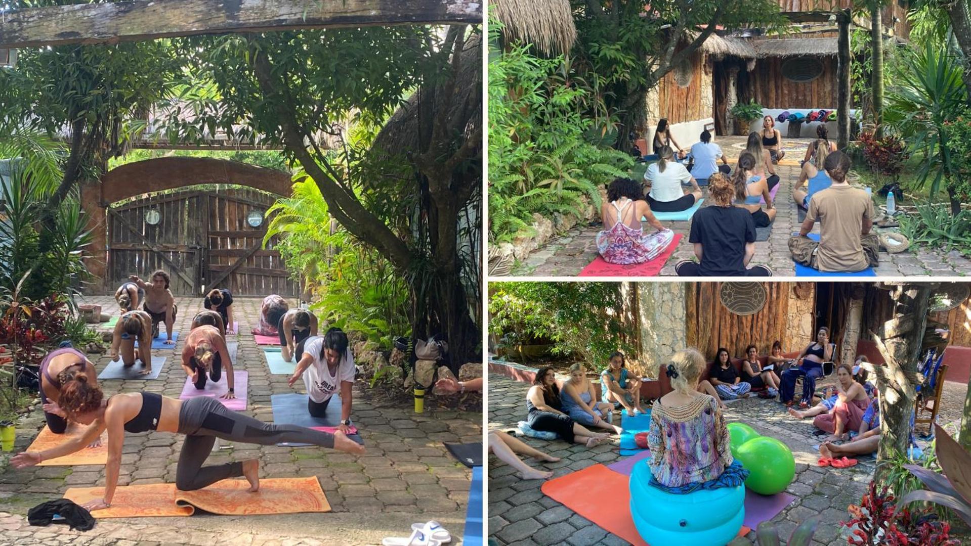 Apartment Oma - Holistic Healing Center