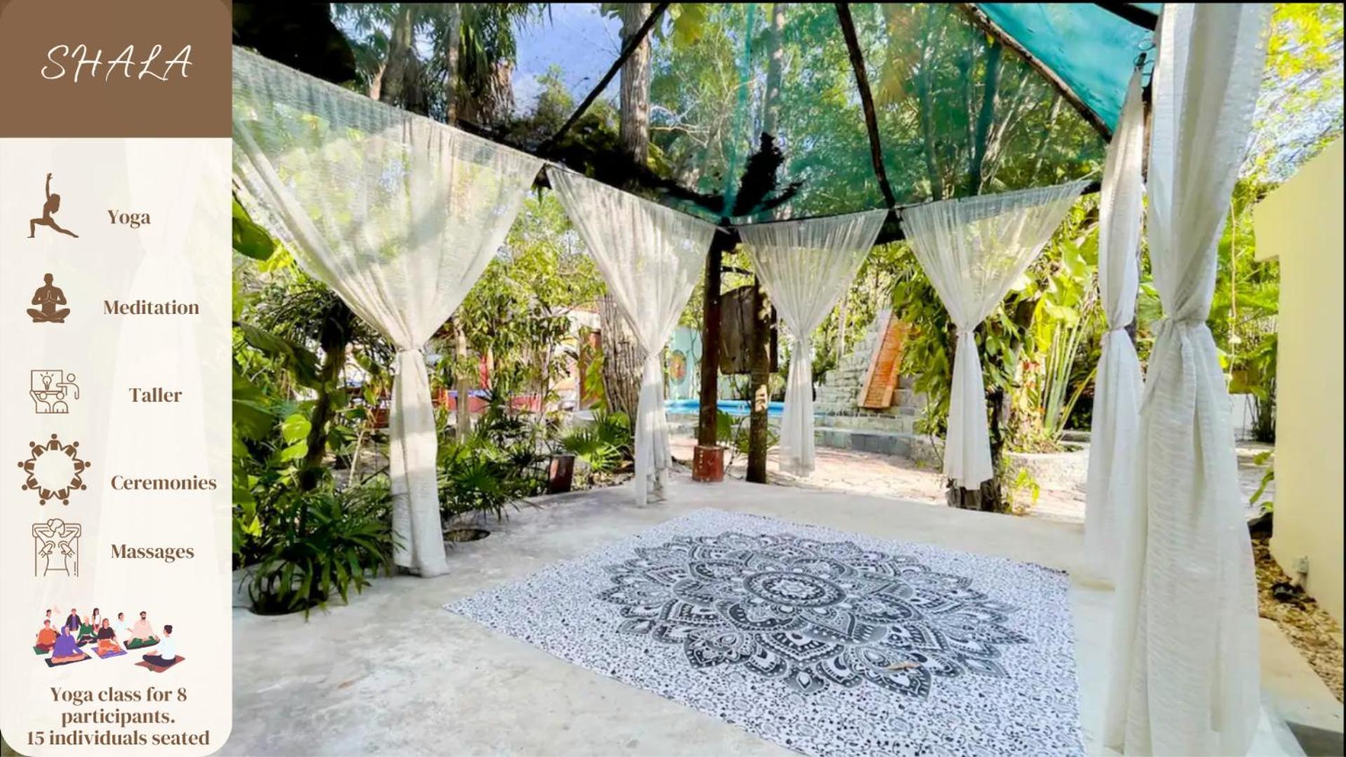 Oma - Holistic Healing Center Apartment *