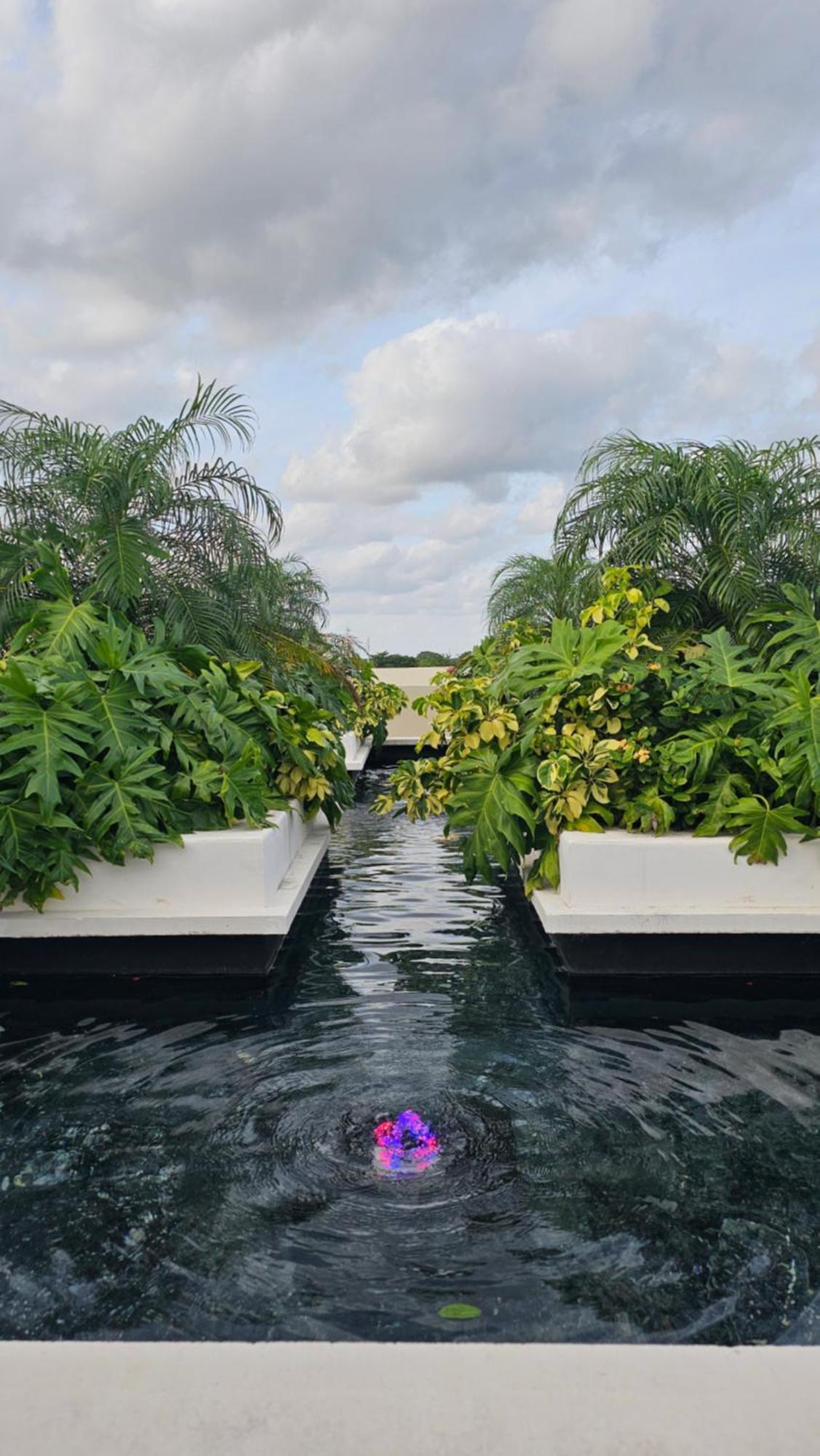 Xoza Distinctive Cancún