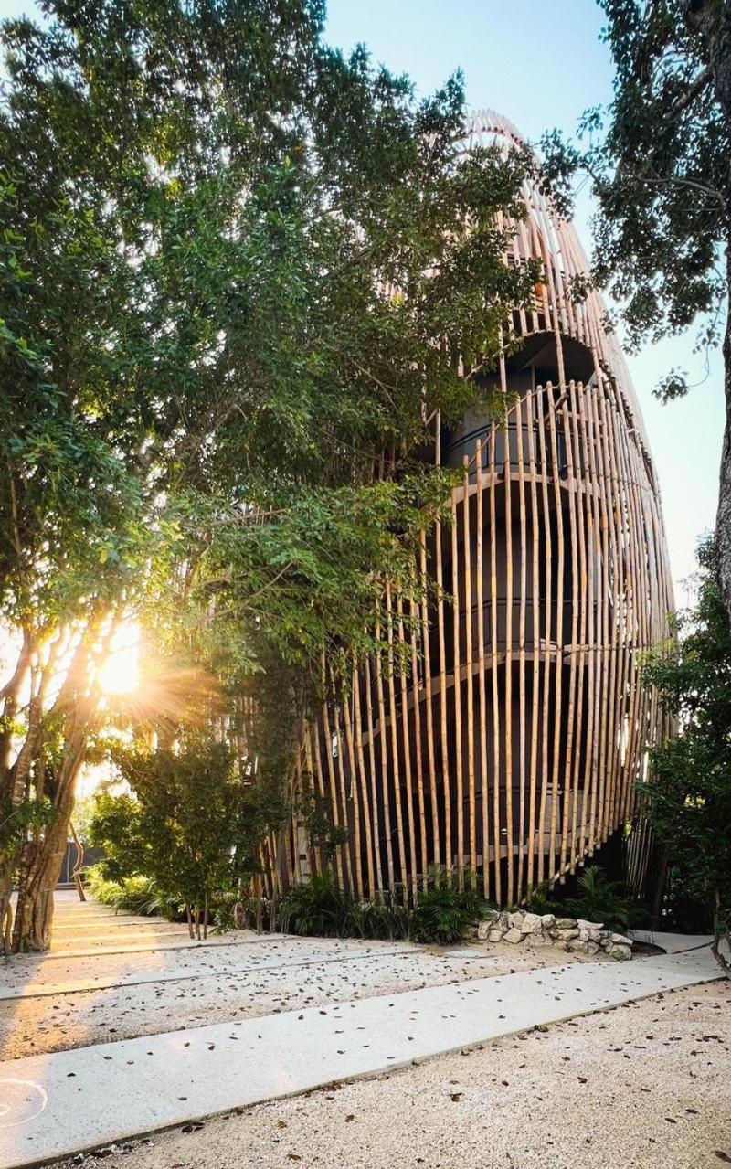 Living In The Noom By Andiani *