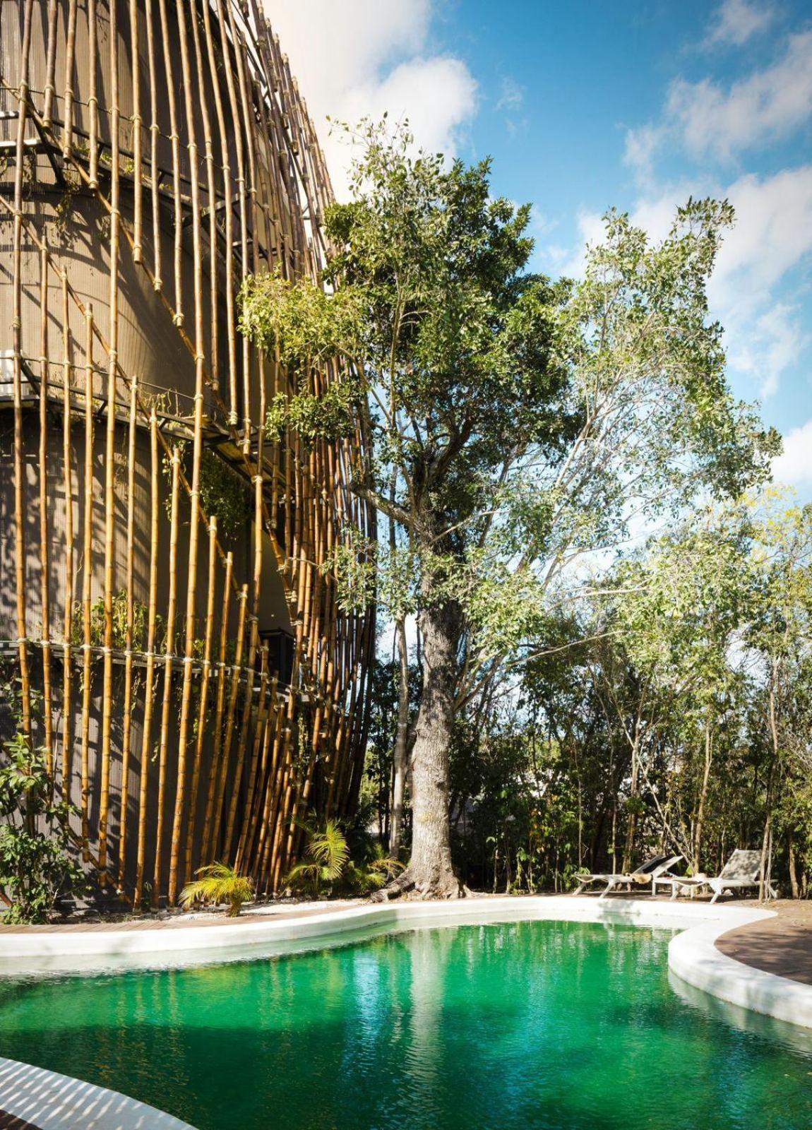 Living In The Noom By Andiani Cancún