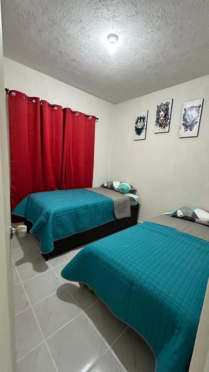 Apartamento Dreams Of Arena In The Jungle Of