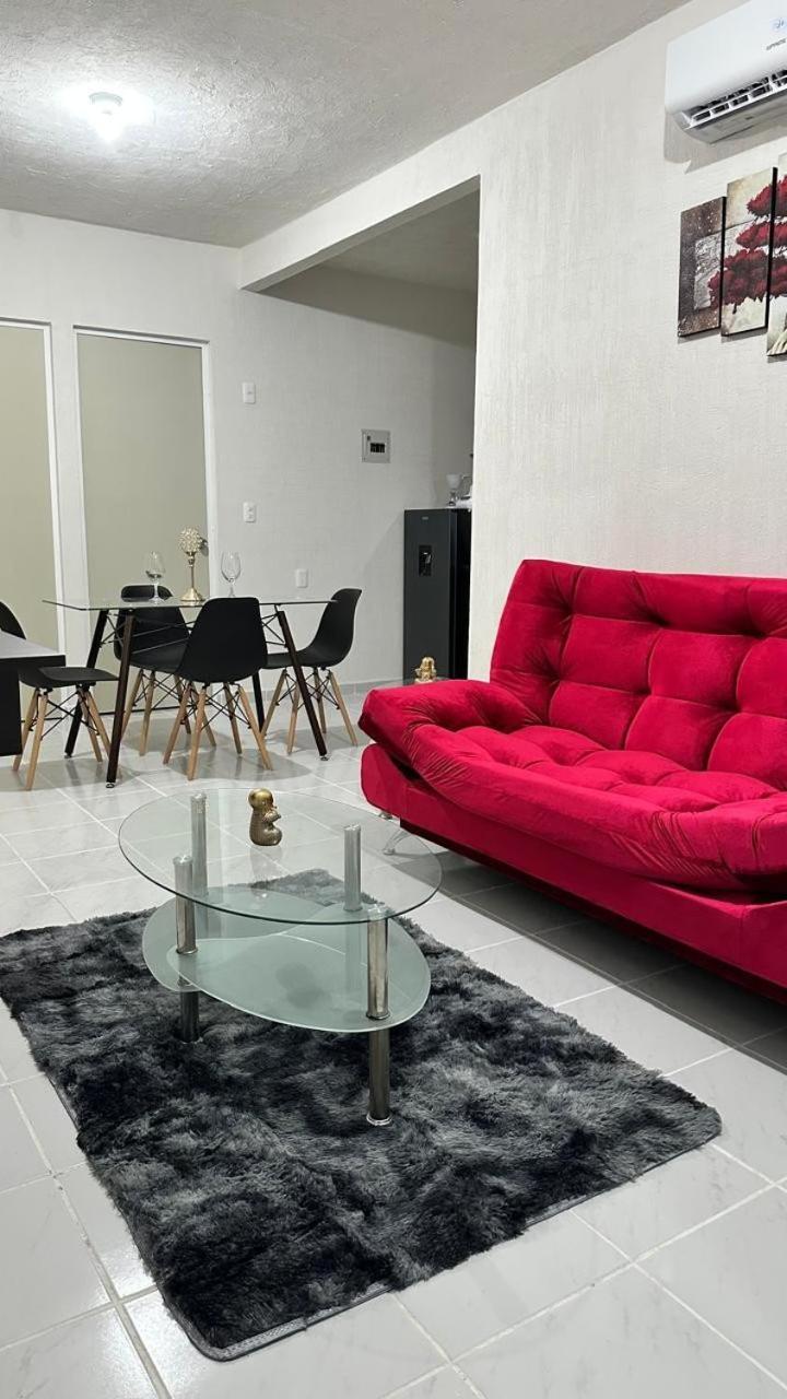 Dreams Of Arena In The Jungle Of Apartamento
