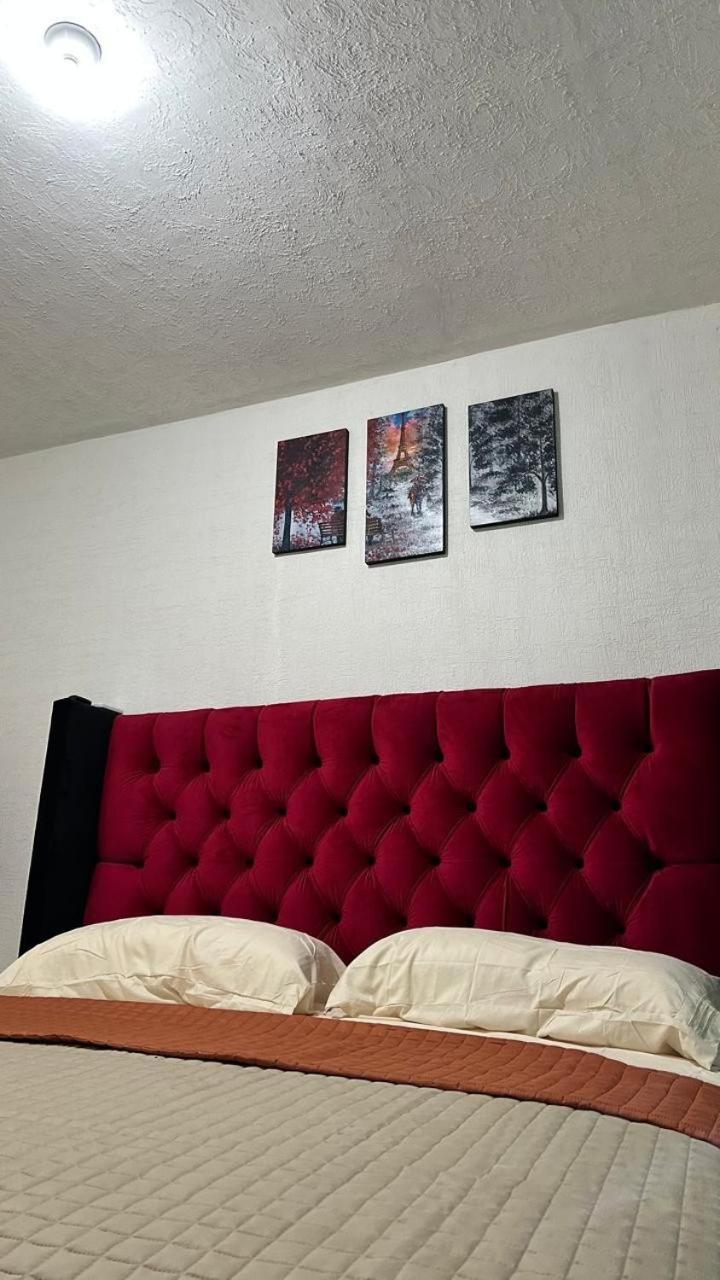 Apartamento Dreams Of Arena In The Jungle Of