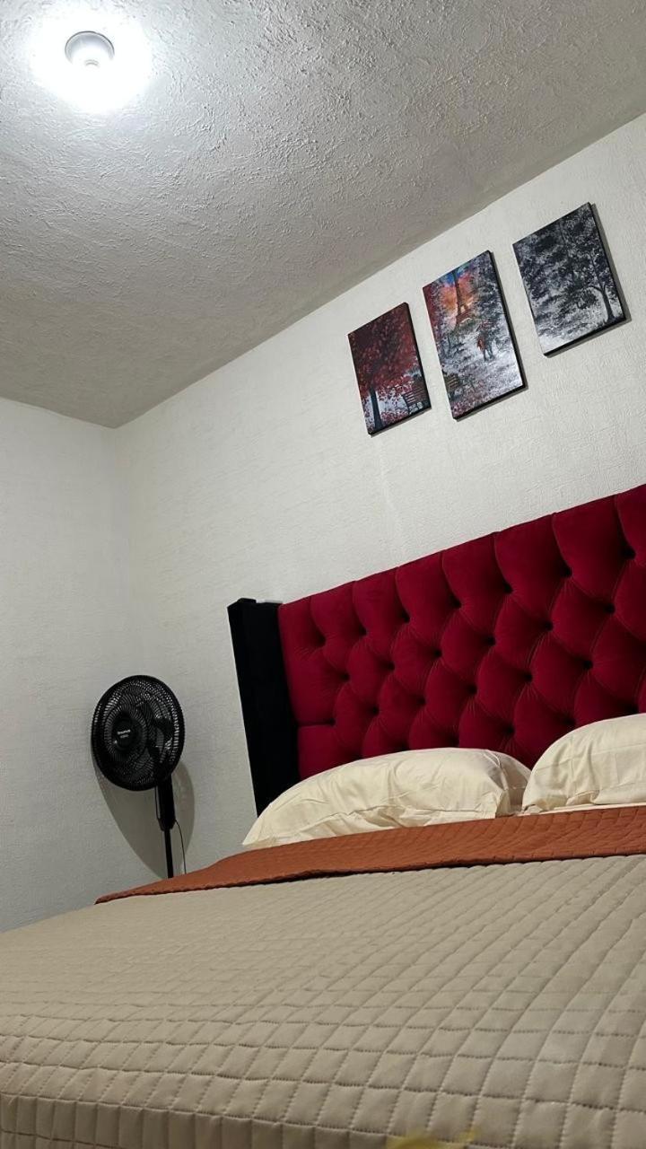 Apartamento Dreams Of Arena In The Jungle Of *