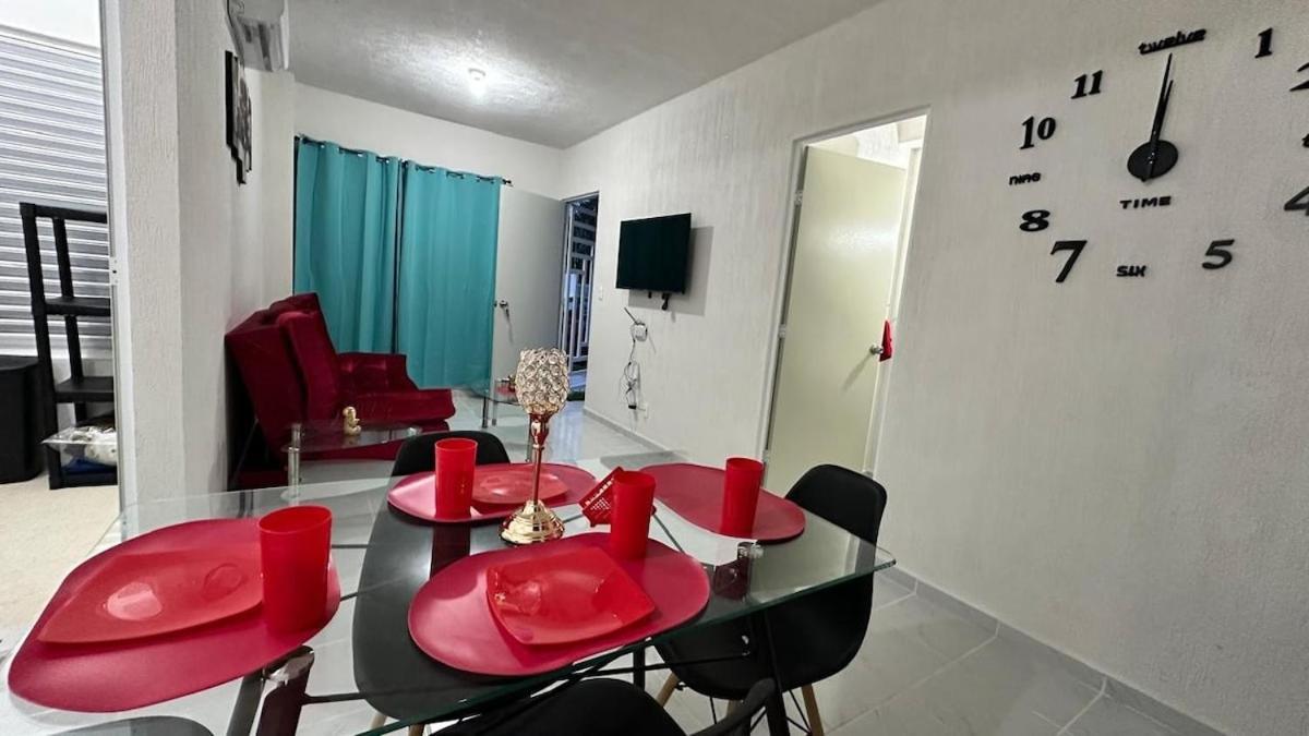 Dreams Of Arena In The Jungle Of Apartamento