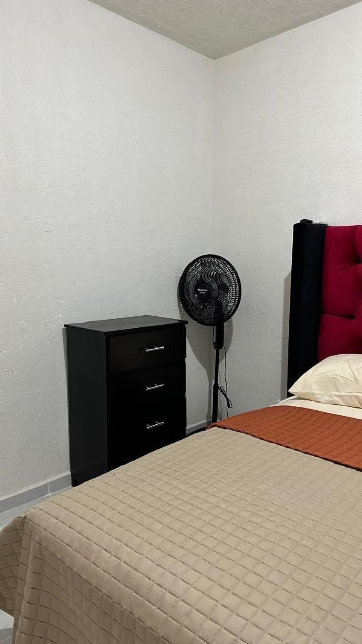 Dreams Of Arena In The Jungle Of Apartamento